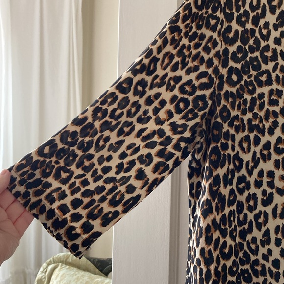 Equipment SILK Dress - Picture 3 of 6